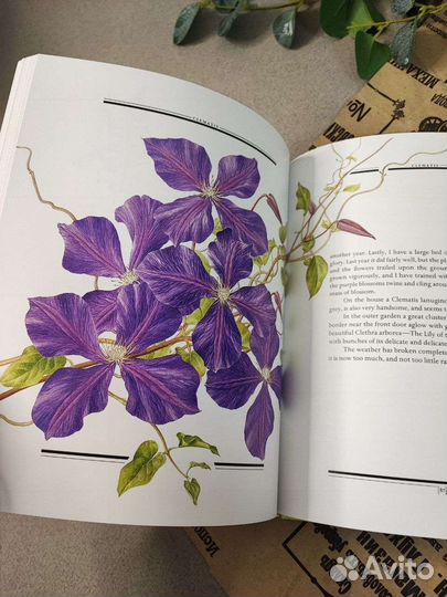 Книга Год в Викторианском саду