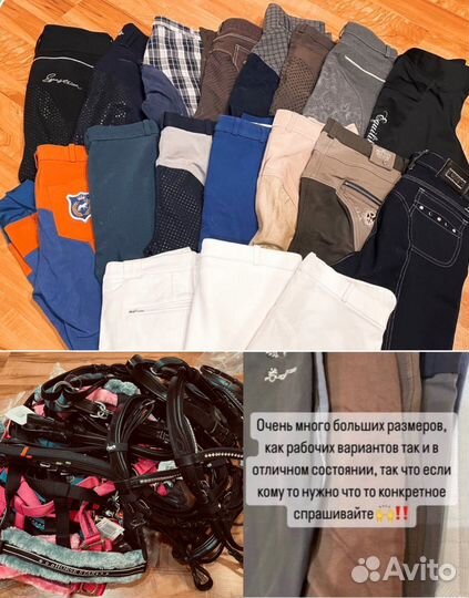 Амуниция, бриджи конные