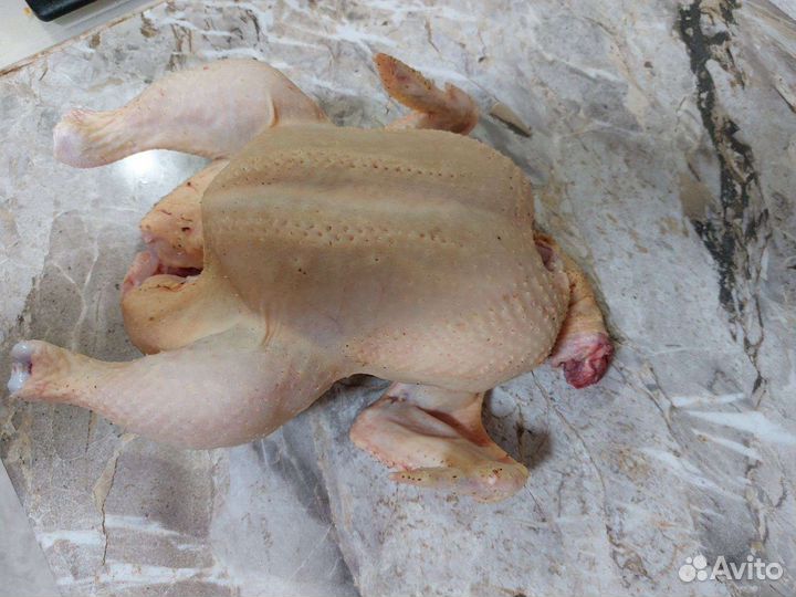 Куры бройлеры тушки мясо