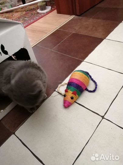 Игрушки для кошек