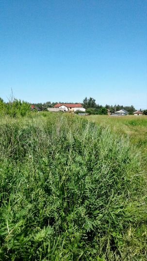 Участок 7,43 га (ИЖС)