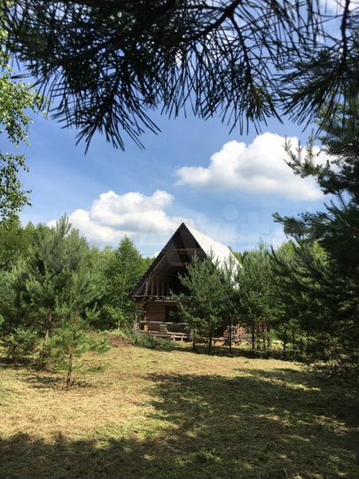 Участок 62 сот. (СНТ, ДНП)