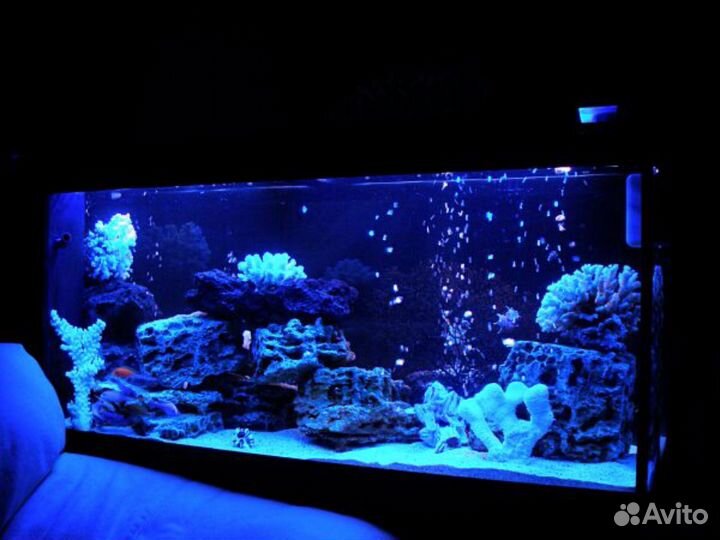 Чистка аквариума