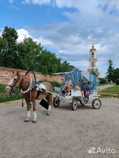 Экипажи для лошади