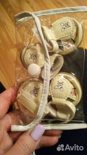 Ботиночки для чихуашки