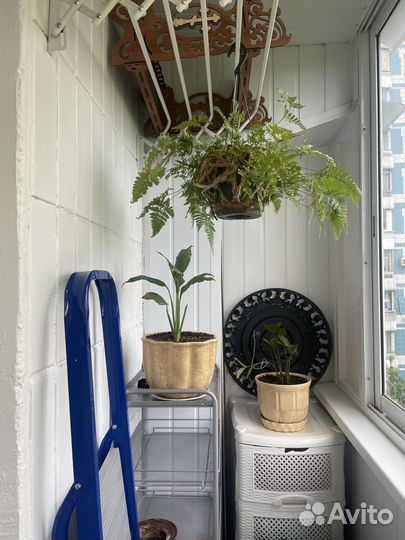 Сдам в аренду 1-комнатную квартиру