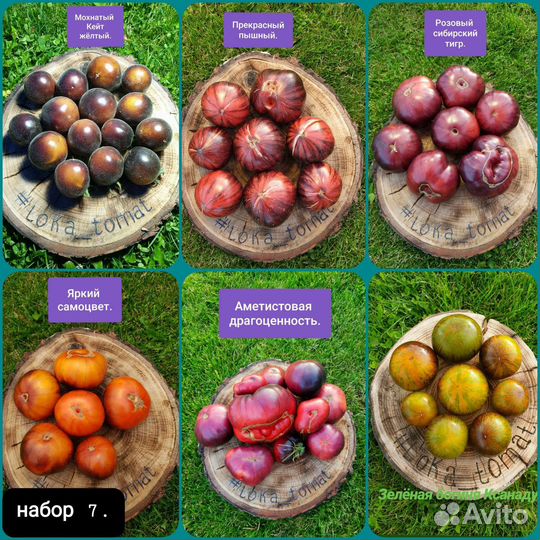 Семена коллекционных томатов