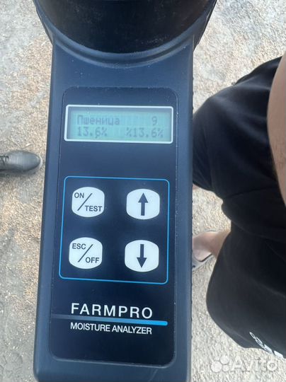 Зерно пшеница 4 класс