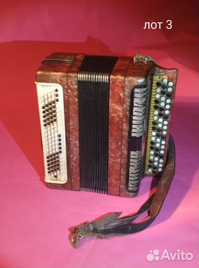 Баян тульский