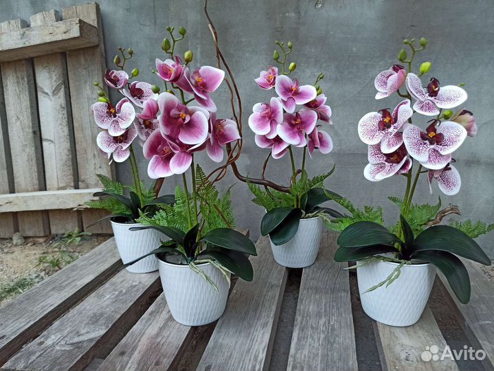 Орхидея фаленопсис искусственные