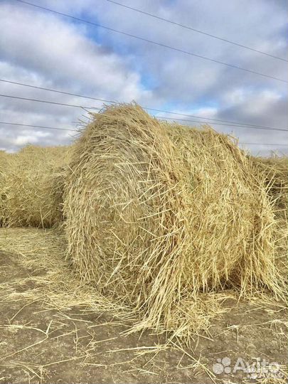 Солома в рулонах