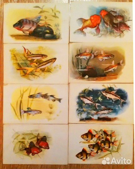 Открытки СССР художника Л. Аристова 1968 г