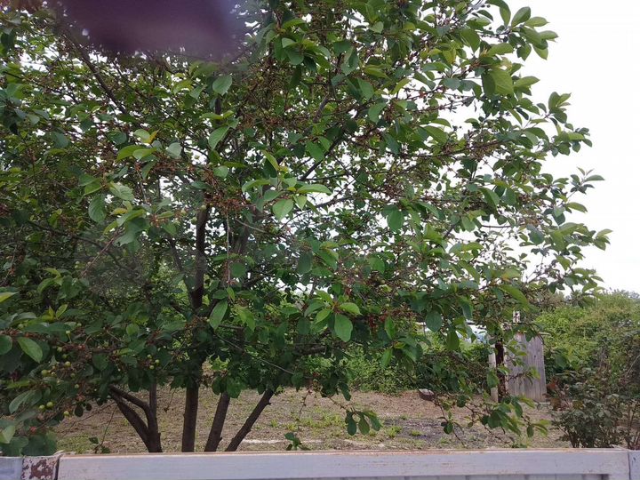 Дом 46,4 м² на участке 15 сот.