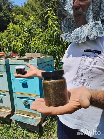 Антипаразитарный мед