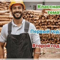 Агентство по деревообработке в городе, Мале