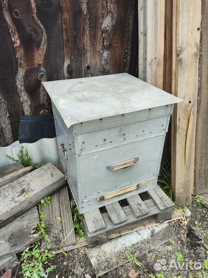 Продам ульи для пчел