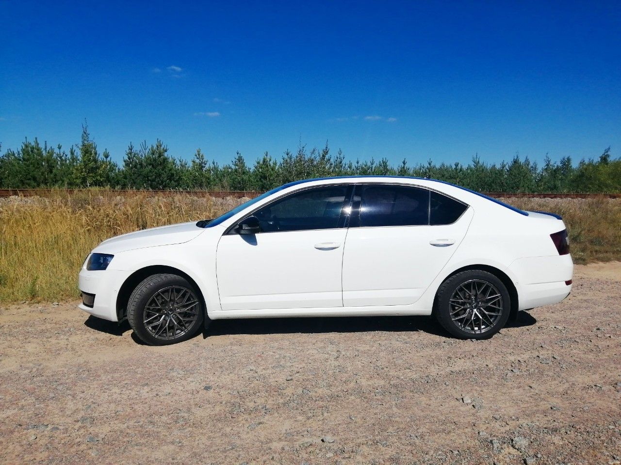 Skoda Octavia: фото владельца