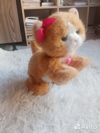 Кот игрушка