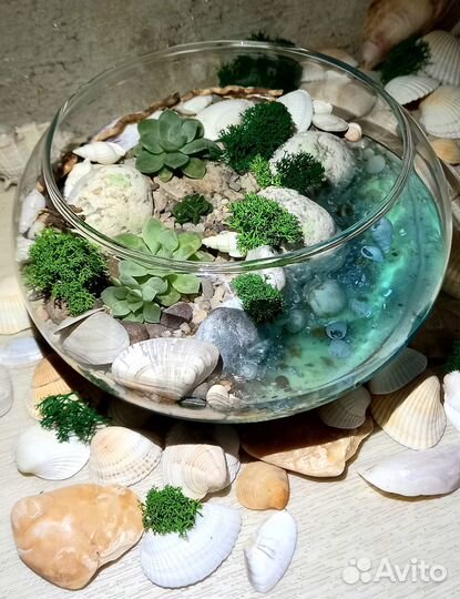 Флорариум с цветами в подарок