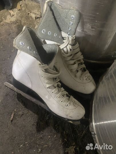 Коньки мужские и женские