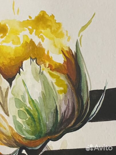 Акварель цветы