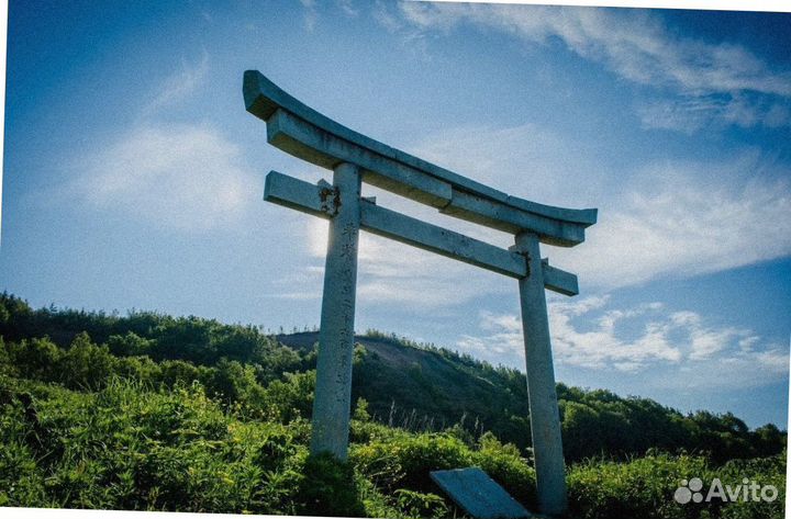 На Сахалин летом тур поездка программы 5-6 дн