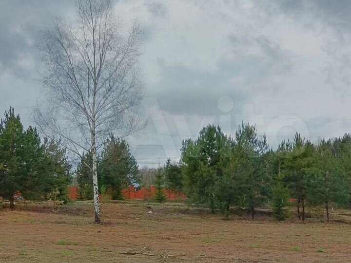 Участок 11 сот. (СНТ, ДНП)