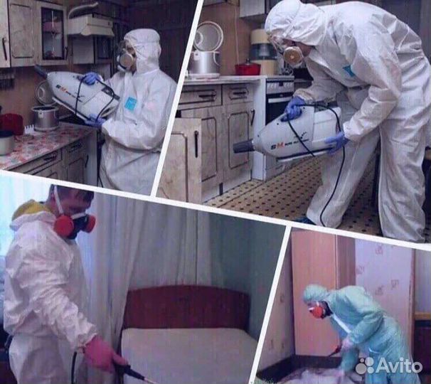 Уничтожение клопов, тараканов, клещей, ос, ртуть