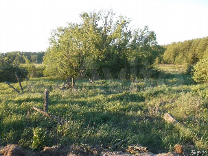 Участок 1,28 га (ИЖС)