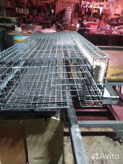Клетки для птенцов и перепелов