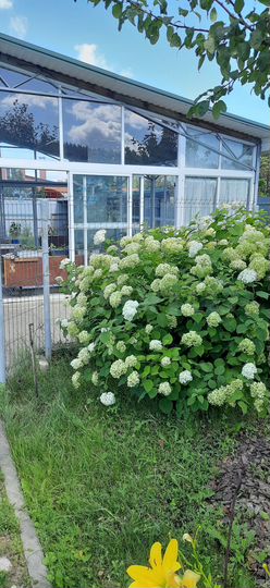 Коттедж 150 м² на участке 24 сот.