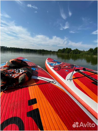 Аренда Сап бордов Koi