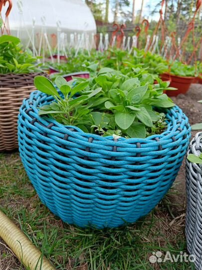 Готовые кашпо