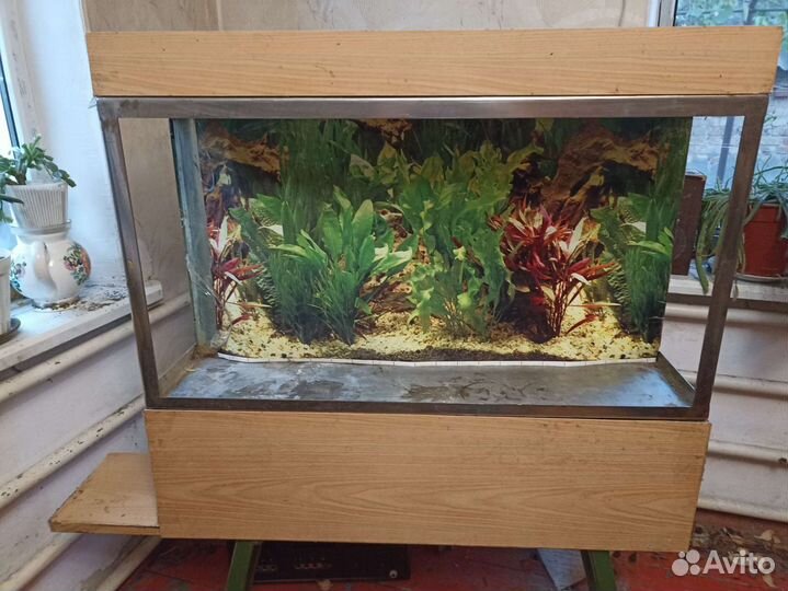 Аквариум 110/59/31