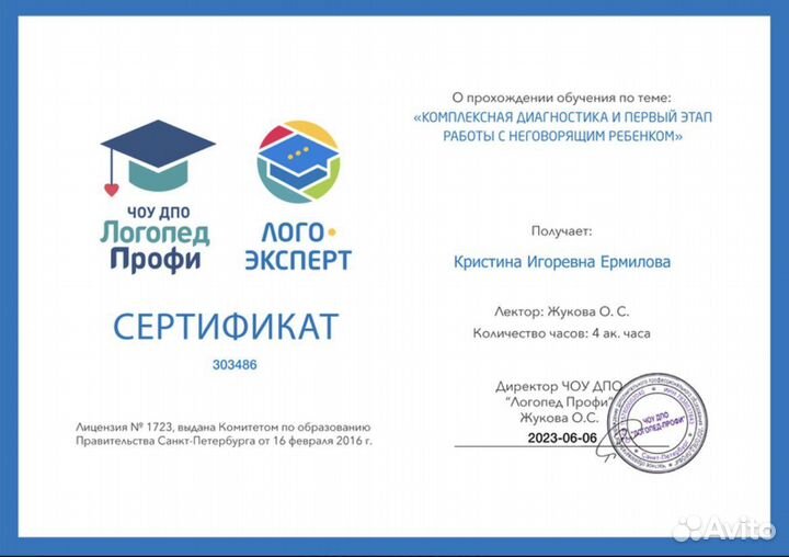 Логопед - дефектолог + учитель начальных классов