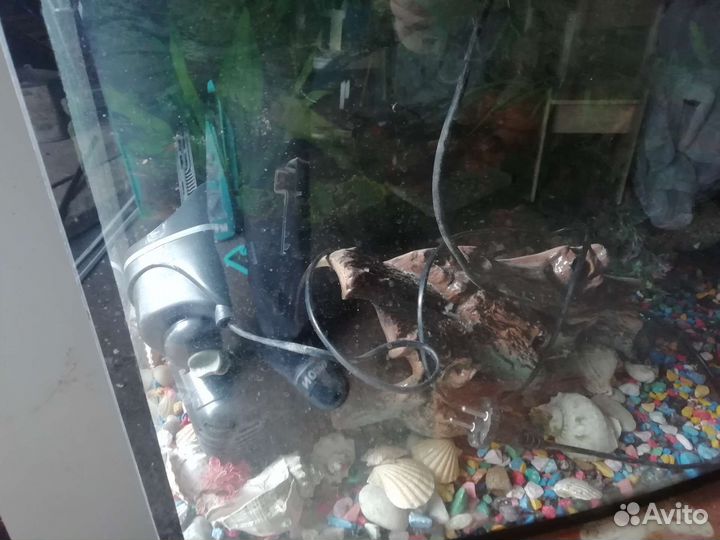 Аквариум в сборе с камнями фильтром