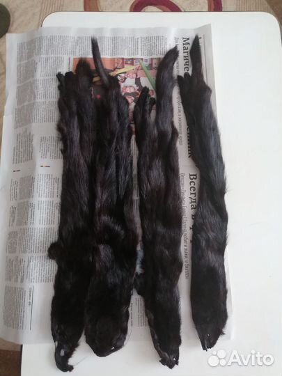 Шкура норки