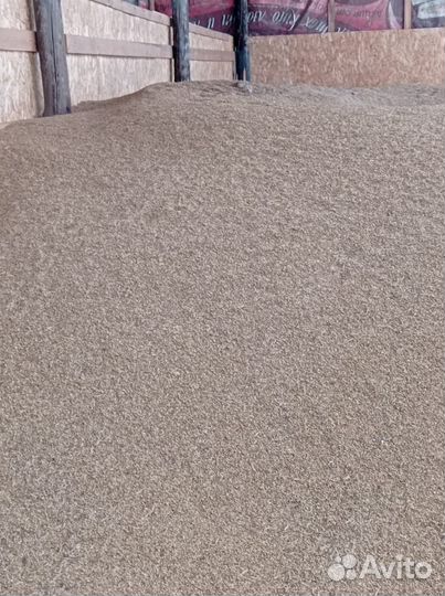 Продам ячмень, овёс,пшеницу