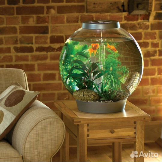 Установка, оформление и обслуживание аквариума