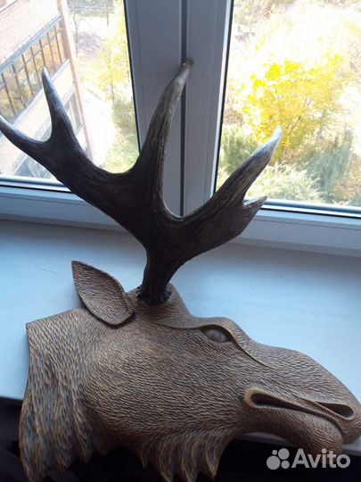 Охотничий трофей. Натуральные рога