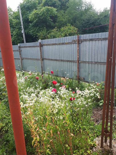 Дом 47,9 м² на участке 19,7 сот.