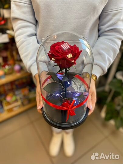 Самая большая вечная розы в колбе