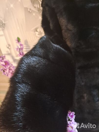 Шуба норковая поперечка 46 48 с капюшоном