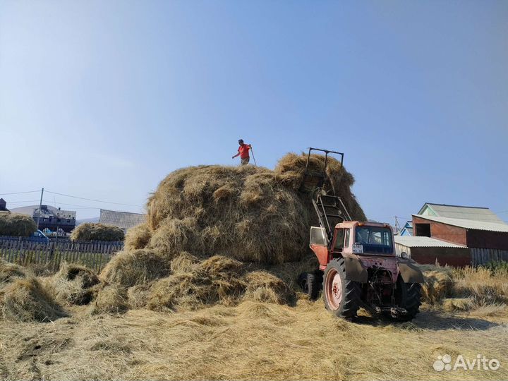 Трактор МТЗ (Беларус) 80Л, 1992