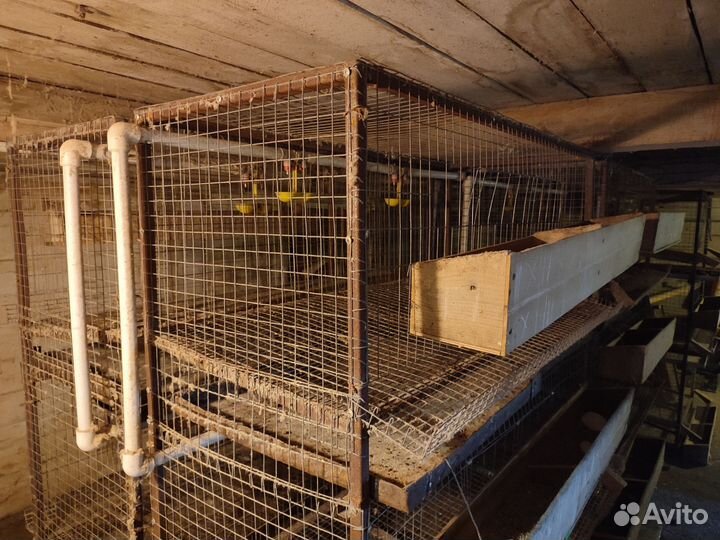 Клетки для кур несушек бу