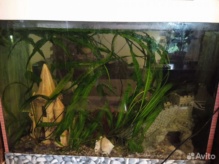 Аквариум
