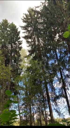 Участок 11,2 сот. (СНТ, ДНП)