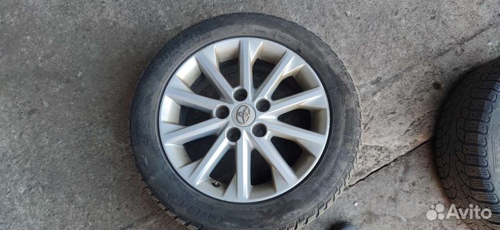 Tigar Winter 205/55 R16 94