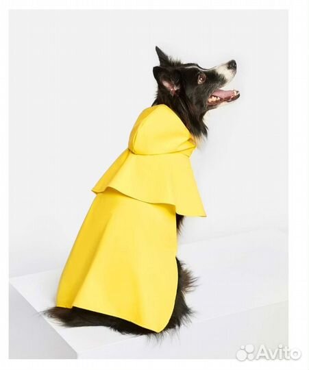 Дождевик для собаки