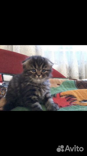 Котик для вязки